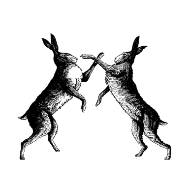 Greeting of two rabbits