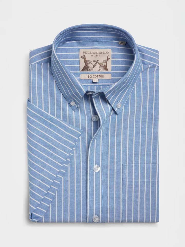 Blue/White Stripe Oxford Shirt