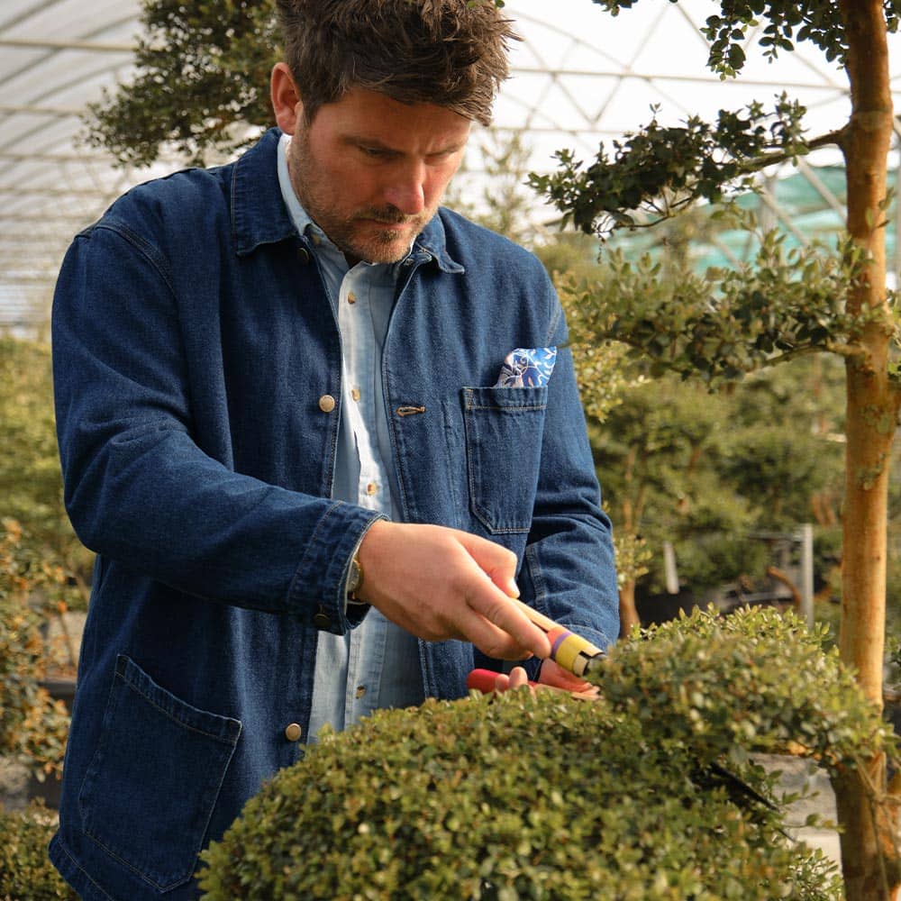 Guy showing how to shape plants