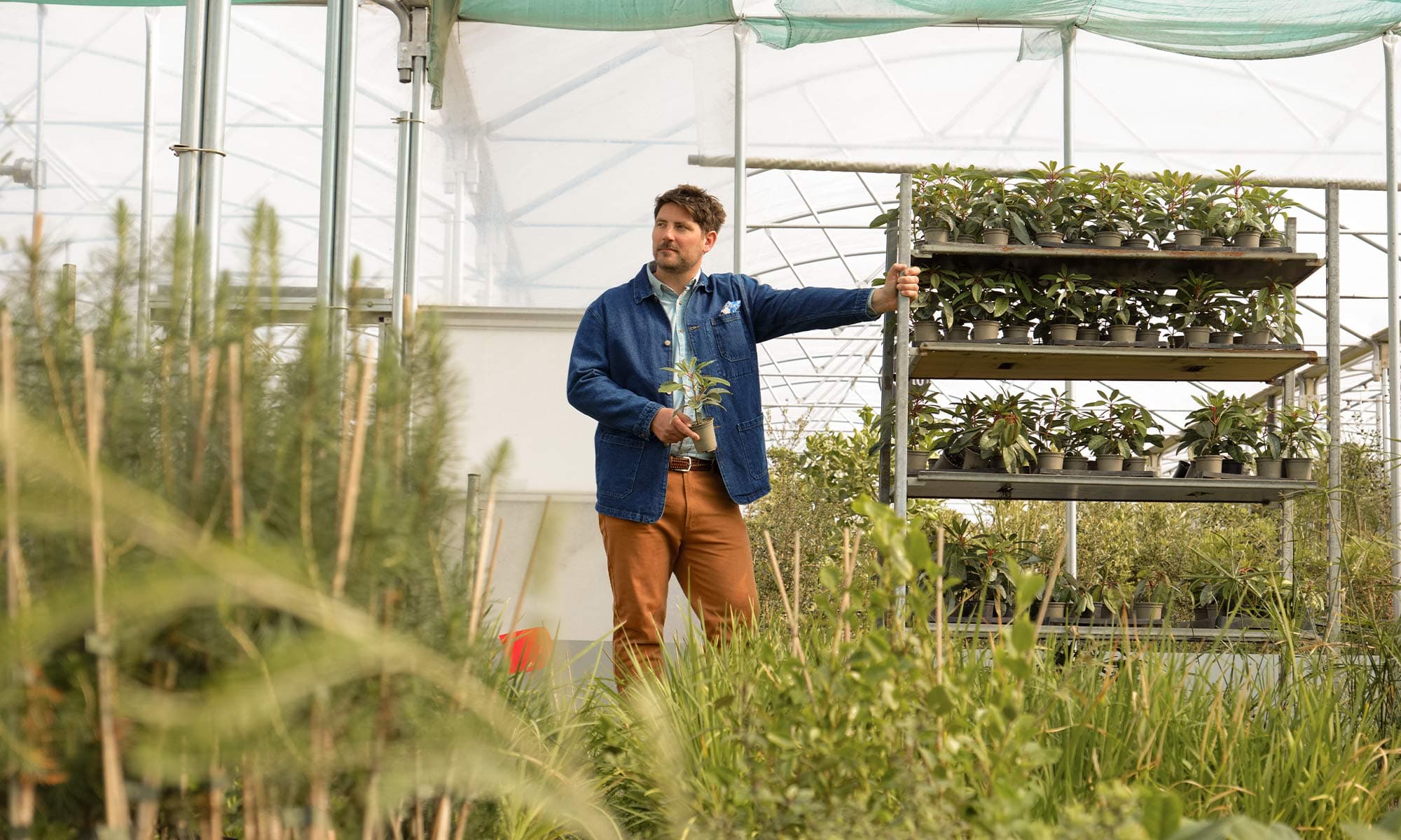 Guy holding plant