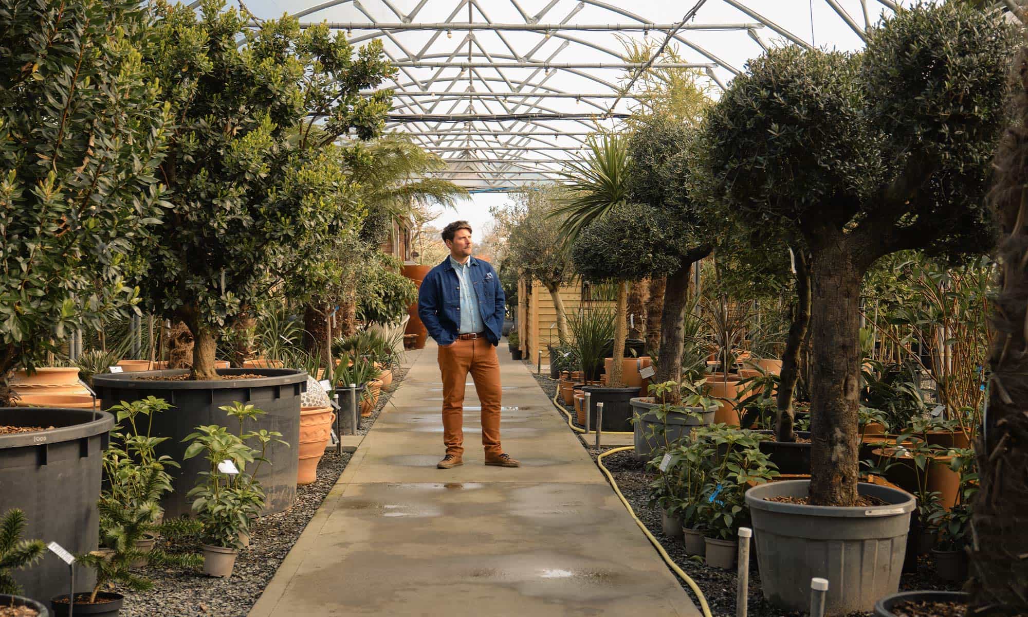 Guy-Architectural-Plants-Signature-Look-Banner.jpg